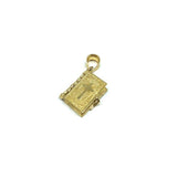 10K Yellow Gold Bible Men's Pendant MPG-421 - WORLDSTARBLING