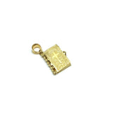 10K Yellow Gold Bible Men's Pendant MPG-421 - WORLDSTARBLING