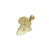 10K Yellow Gold Map Of Africa Men's Pendant S MPG-425 - WORLDSTARBLING