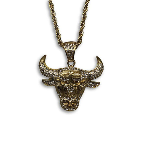 30IN 4MM Rope Chain Gold Plated Stainless Steel With Lion Pendant STL_071 - WORLDSTARBLING