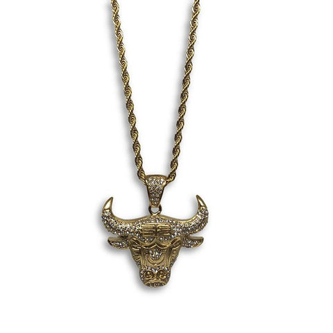 30IN 4MM Rope Chain Gold Plated Stainless Steel With Lion Pendant STL_071 - WORLDSTARBLING